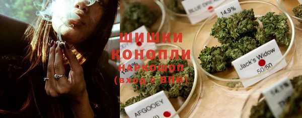 СК Волосово