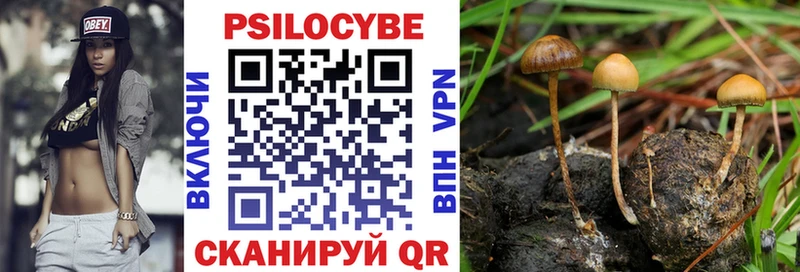 Псилоцибиновые грибы GOLDEN TEACHER  дарнет шоп  Верхняя Тура 